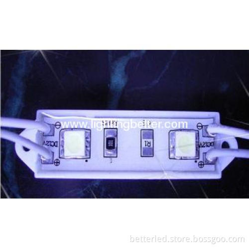 Advertising LED 2leds module with plastic cover,high quality,hot sells